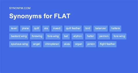 flat synonym